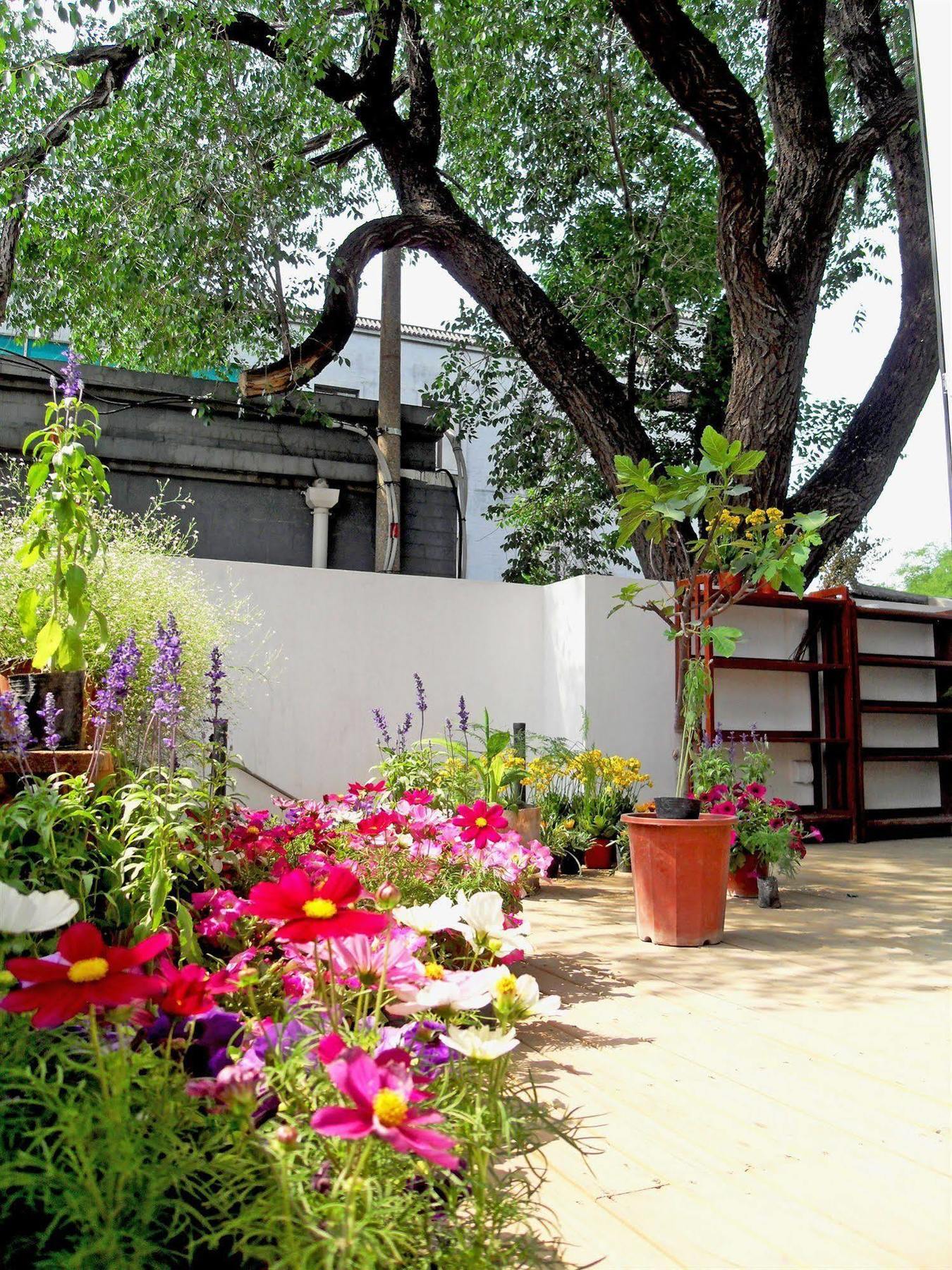 Beijing Wohkoon Hostel-Nan Luo Gu Xiang Branch Екстериор снимка